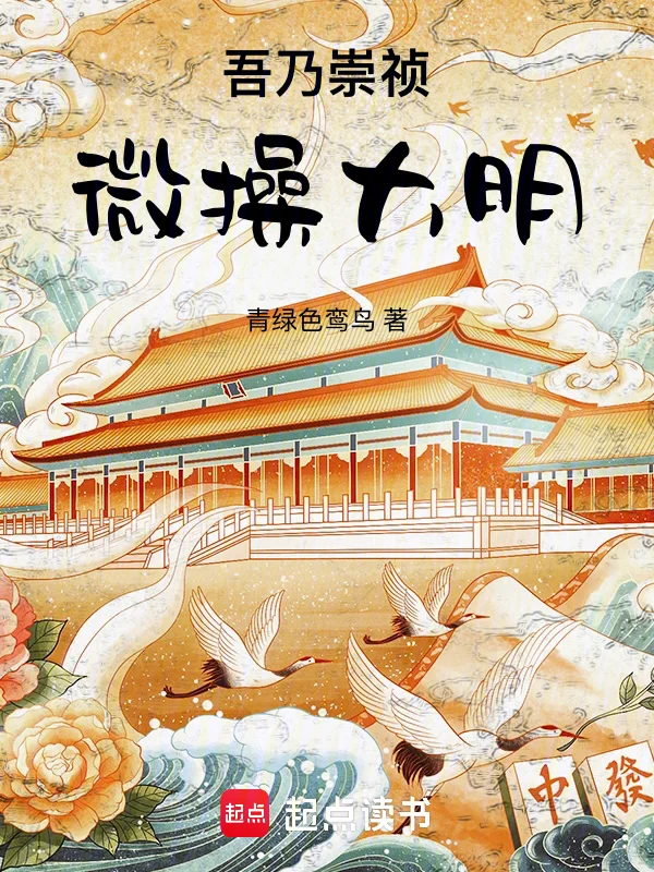 吾乃崇禎,微操大明